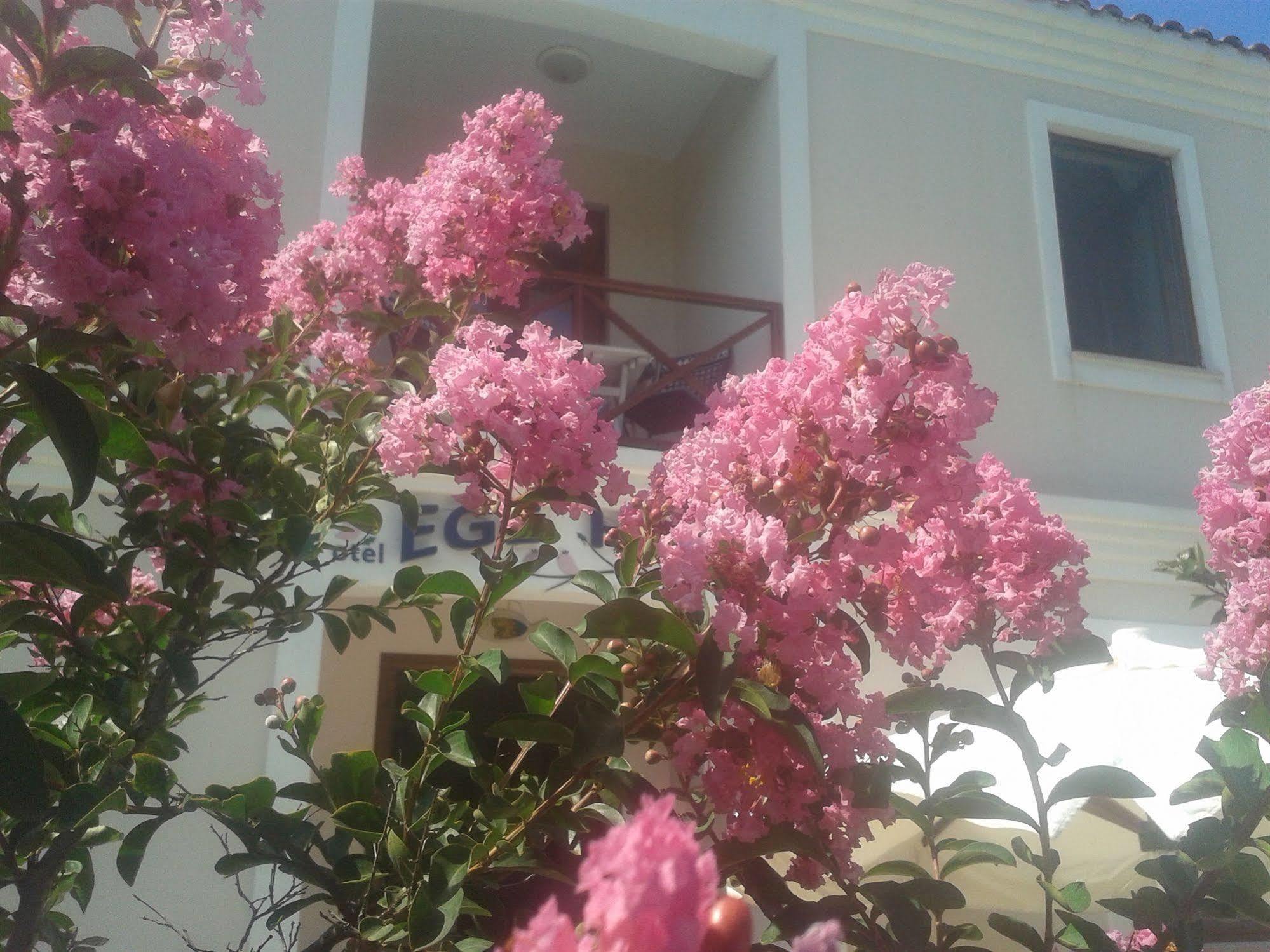 בוזקאדה Ege Han Hotel מראה חיצוני תמונה